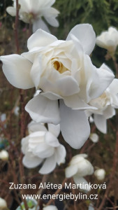 666759362_3543083635857985_2414787400788449029_n